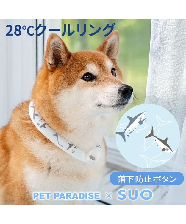 PET PARADISE ペットパラダイス ２８℃ クールリング Ｌ 《サメ柄》 ブルー