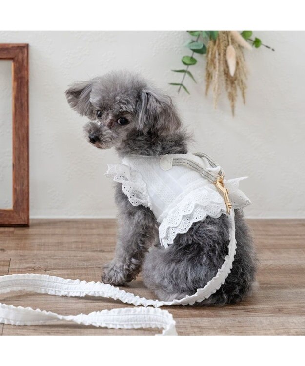 PET PARADISE ペットパラダイス レースフリル リード ＳＳ～Ｓ ホワイト