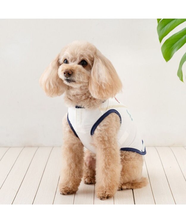 PET PARADISE リサとガスパール ポケットクール タンクトップ 《マリン柄》 小型犬 ホワイト×ネイビー