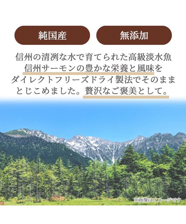 PET PARADISE ペットパラダイス プレミアムフード フリーズドライ 信州サーモン -