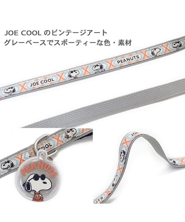 PET PARADISE 犬 スヌーピージョークール 反射 お揃い リード 【M~L】 青