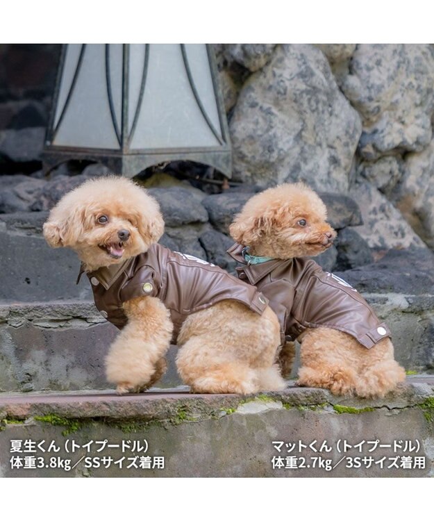 PET PARADISE J.PRESS フェイクレザー ジャケット 小型犬 茶系