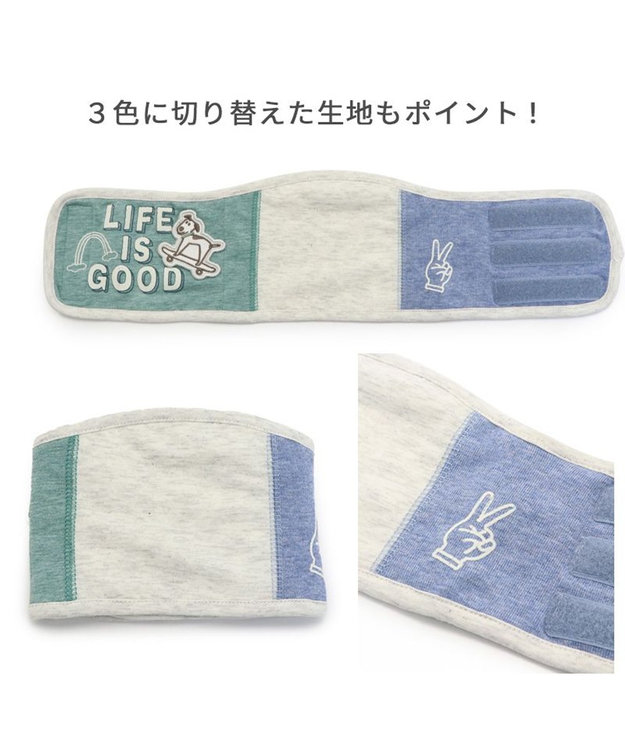 PET PARADISE 犬 服 マナーベルト マナーウエア 【小型犬】 くま柄 らくがき柄 らくがき柄