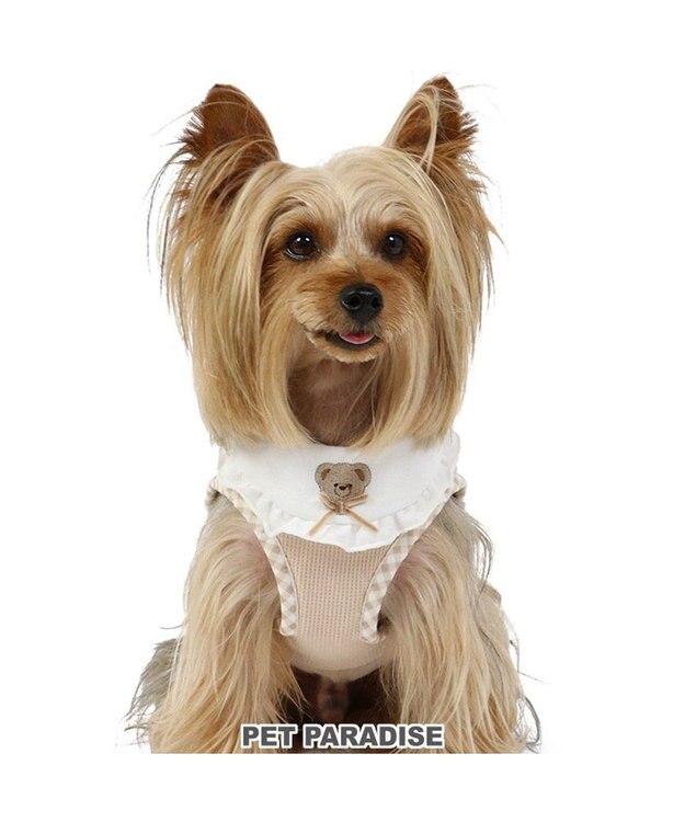 PET PARADISE ペットパラダイス くまちゃん ベストハーネス ３Ｓ 小型犬 ベージュ