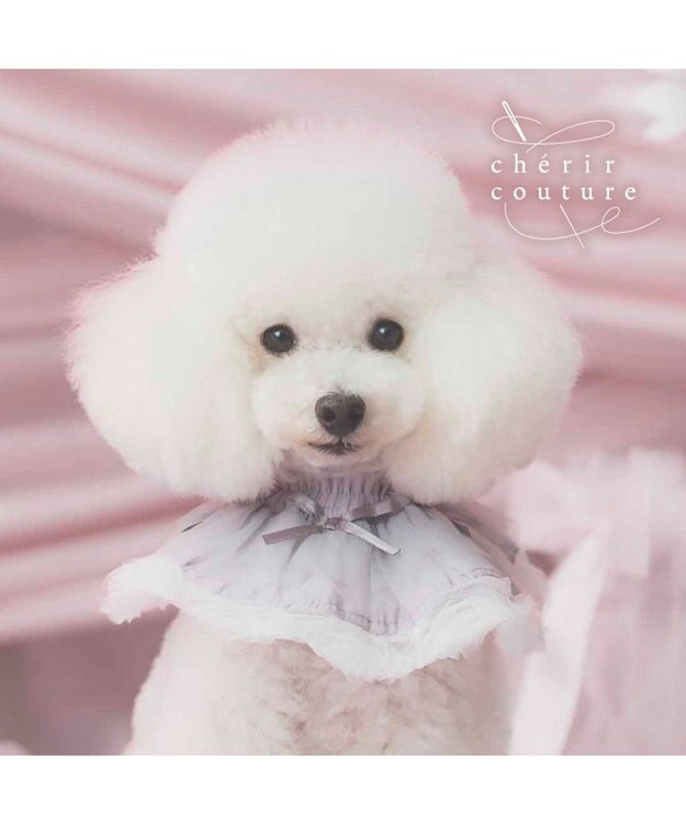 PET PARADISE cherircouture ビッグリボン スタイ 《グレー》 小型犬 グレー