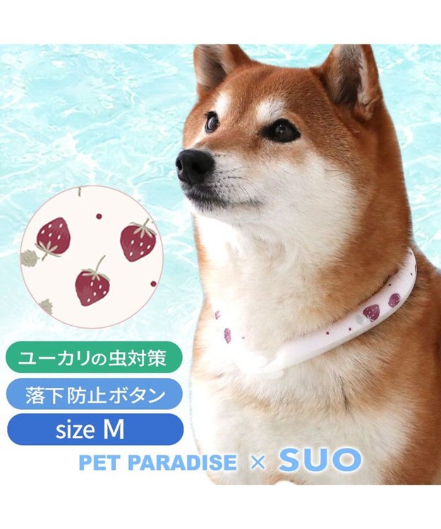 PET PARADISE ペットパラダイス 28℃クールリング 《いちご》 Ｍ 大型犬 いちご柄