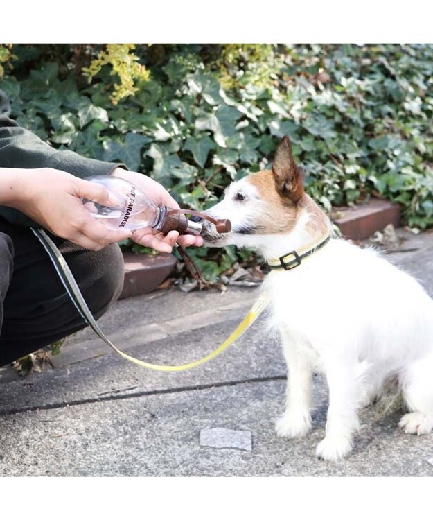 PET PARADISE 犬用品 ペットグッズ お散歩  お水携帯ボトル（茶）220ｍＬ 茶系