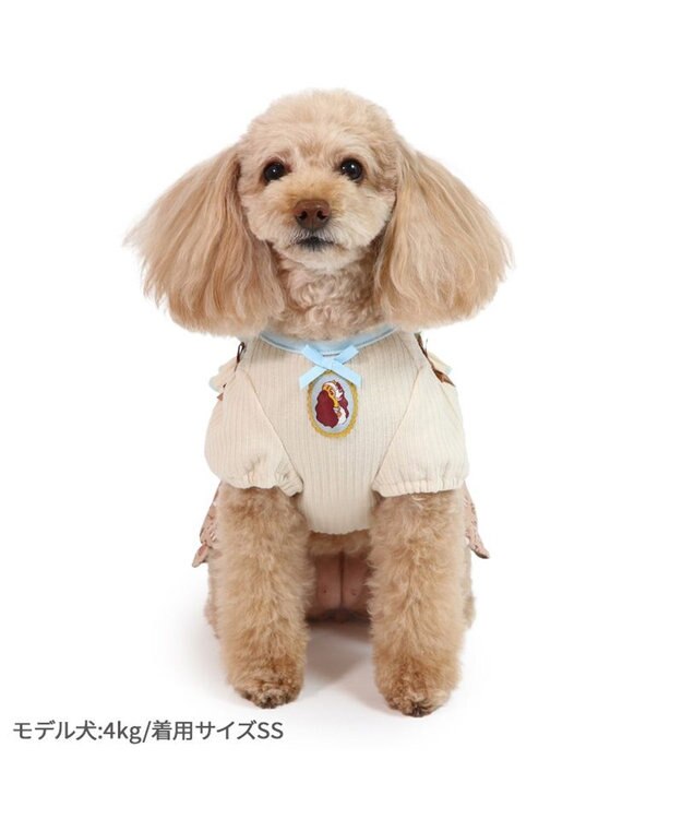 ディズニー わんわん物語 レディ ベレー帽 Disney - レディ♡わんわん物語♡ベレー帽♡帽子♡新品タグ付き