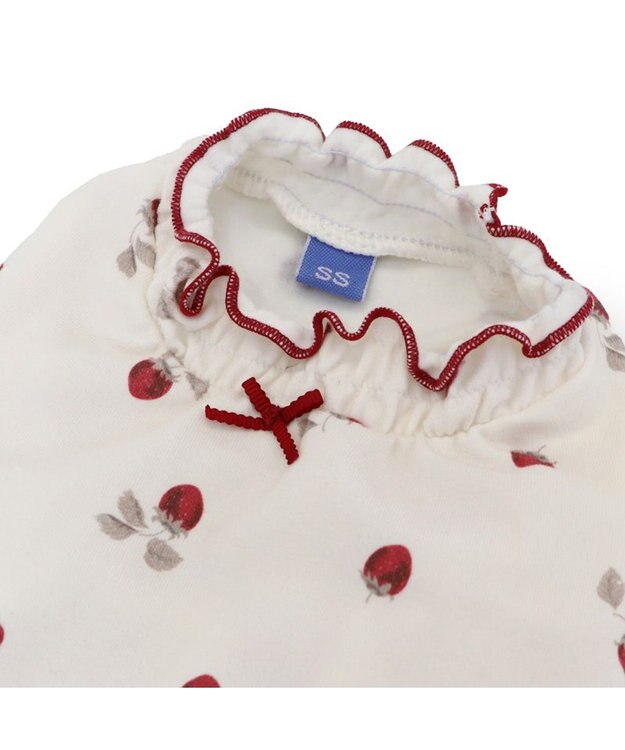 PET PARADISE ペットパラダイス ペティヒート Tシャツ 《苺柄》 中型犬 大型犬 苺柄