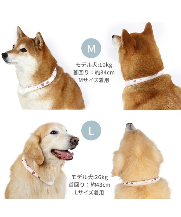 PET PARADISE ペットパラダイス 28℃クールリング 《いちご》 M 大型犬 いちご柄