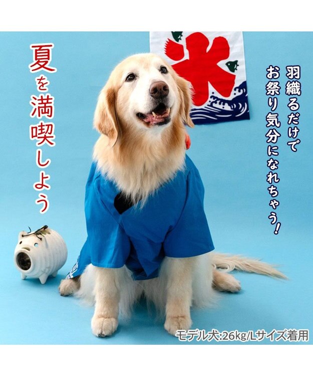 PET PARADISE ペットパラダイス お祭り法被 《金魚》 中型犬 大型犬 ブルー