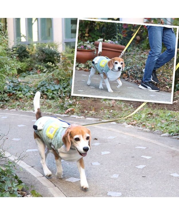 PET PARADISE スヌーピー 背中開きジップ ベスト 《マスコット》 中型犬 ブルー