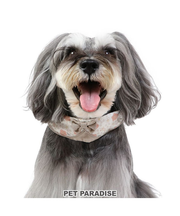 PET PARADISE 花柄 襟付首輪 【3S】 小型犬 茶系