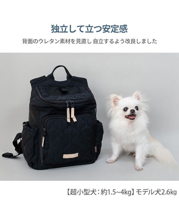 PET PARADISE ペットパラダイス ナチュラル キルティング ハグ＆リュック S 超小型犬 ブラック