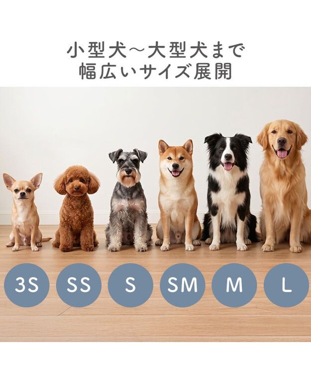 PET PARADISE ペットパラダイス バレエ スリット シューズ ３Ｓ -