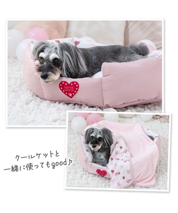 PET PARADISE ディズニー ミニーマウス クールカドラー 《ハート柄》 M ホワイト×ピンク