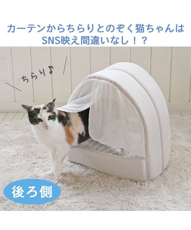PET PARADISE 猫 ハウス クール 夏 接触冷感 ひんやり ねこハウス (40×35cm) 水色