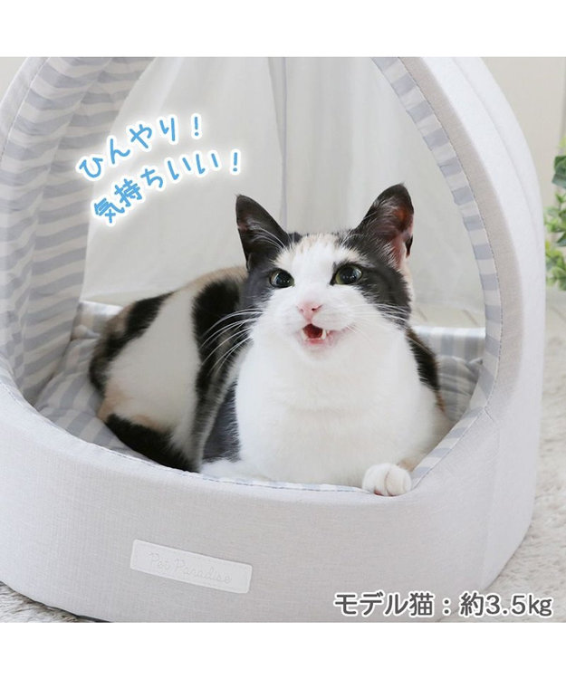 PET PARADISE 猫 ハウス クール 夏 接触冷感 ひんやり ねこハウス (40×35cm) 水色