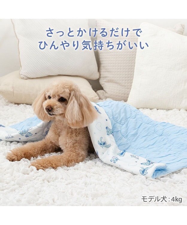 PET PARADISE ディズニー スティッチ もちっと クール ブランケット ホワイト×ブルー