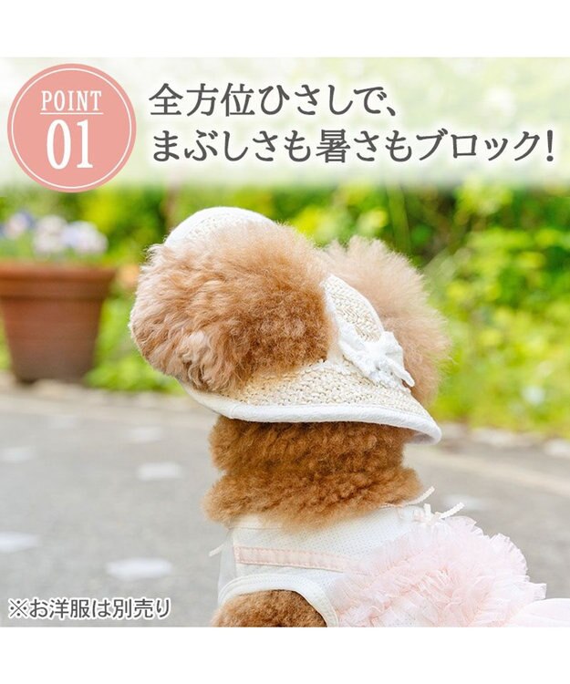 PET PARADISE ペットパラダイス レース クール ハット ４Ｓ～３Ｓ/ＳＳ～Ｓ 小型犬 ベージュ