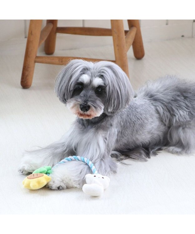 PET PARADISE 犬 トイ TOY ペットパラダイス しろくま ロープトイ 水色