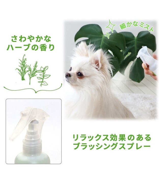 PET PARADISE 2024　ペットパラダイス ハーバルシャワー 200ｍＬ　 -