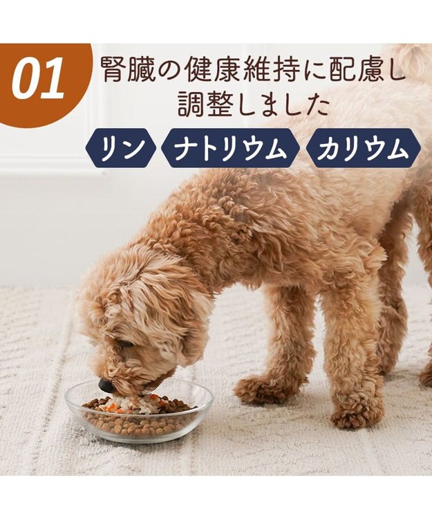 PET PARADISE 愛犬にやさしい スープごはん 鮭 0