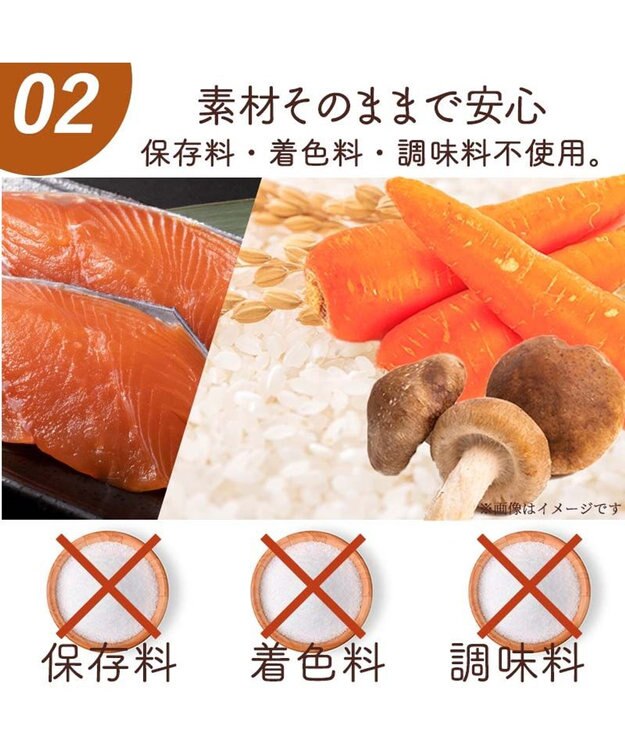 PET PARADISE 愛犬にやさしい スープごはん 鮭 0