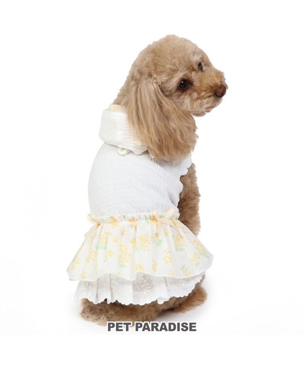No.4 ハンドメイド犬服 ミモザのパーカーワンピース 犬の服 犬 ワンピース 【小型犬】 ミモザ ホワイト グリーン