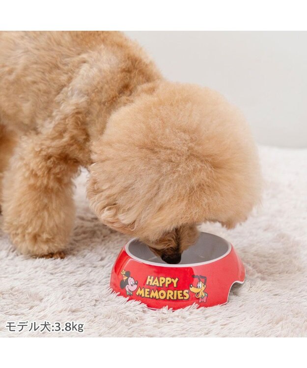 PET PARADISE ディズニー プルート ハッピーメモリーズ フードボウル レッド