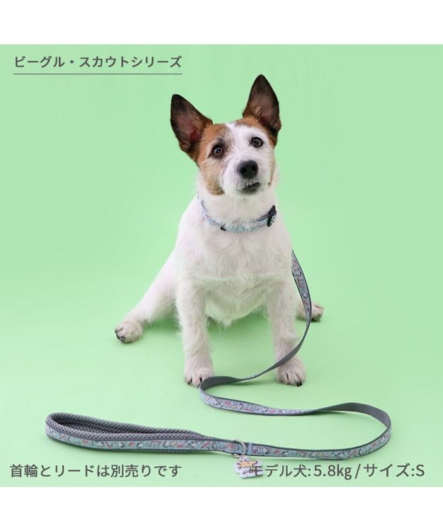 PET PARADISE スヌーピー 首輪 《 ビーグルスカウト》 ３Ｓ 小型犬 ビーグルスカウト