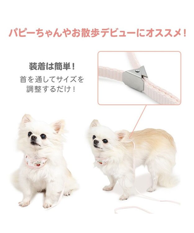 PET PARADISE ペットパラダイス リード付き首輪 《いちご》 小型犬 ホワイト×ピンク