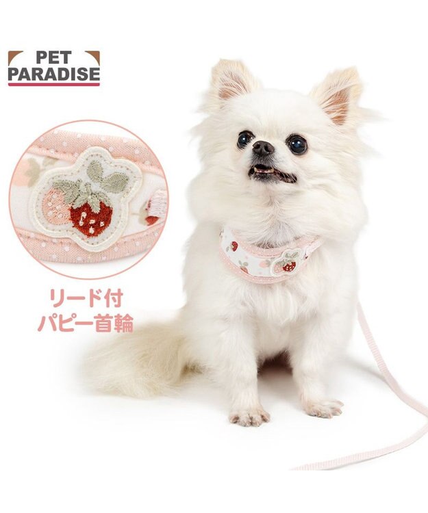 PET PARADISE ペットパラダイス リード付き首輪 《いちご》 小型犬 ホワイト×ピンク