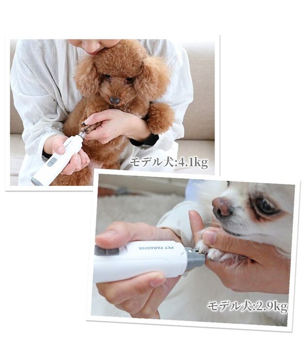 PET PARADISE ペットパラダイス 電動ネイルケア ホワイト