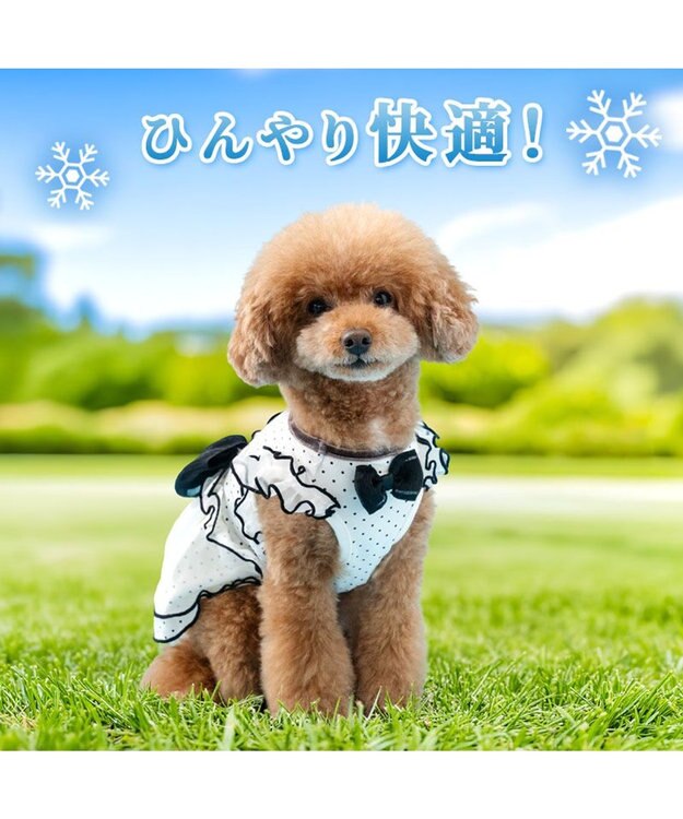 PET PARADISE ディズニー ミニーマウス クール ワンピース 《ドット柄》 小型犬 ホワイト