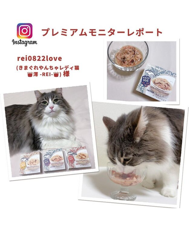 PET PARADISE 【24個セット】 猫缶 まとめ買い キャットフード まぐろほぐし 75g×24  《しらす/ 紅鮭 /ほたて》 しらす入り