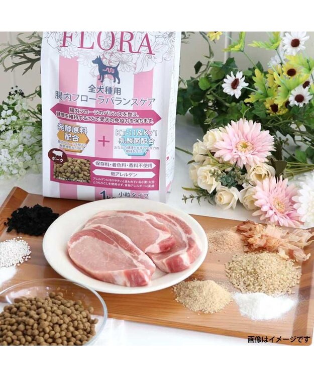 PET PARADISE ≪配合リニューアル≫ ペットパラダイス  国産 ドッグフード フローラ3kg 0