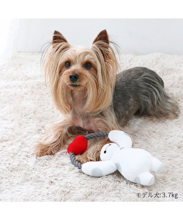 PET PARADISE ディズニー ロープ トイ 《ベイマックス》 小型犬 ベイマックス