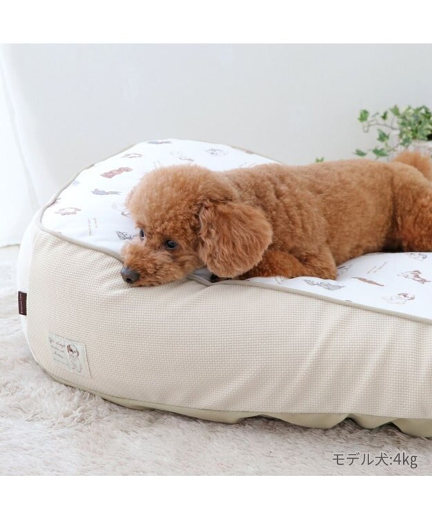 PET PARADISE ペットパラダイス makokoro 寝そべりベッド 《わんちゃん柄》 わんちゃん柄