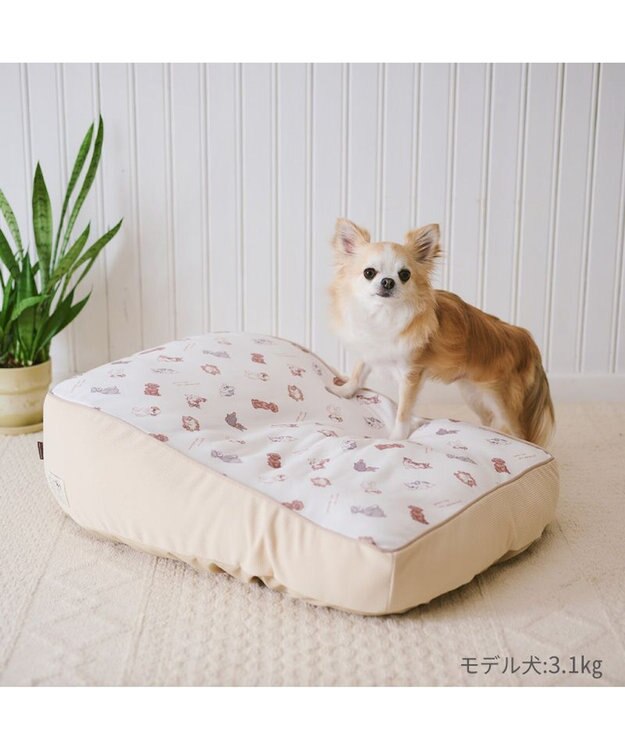 PET PARADISE ペットパラダイス makokoro 寝そべりベッド 《わんちゃん柄》 わんちゃん柄