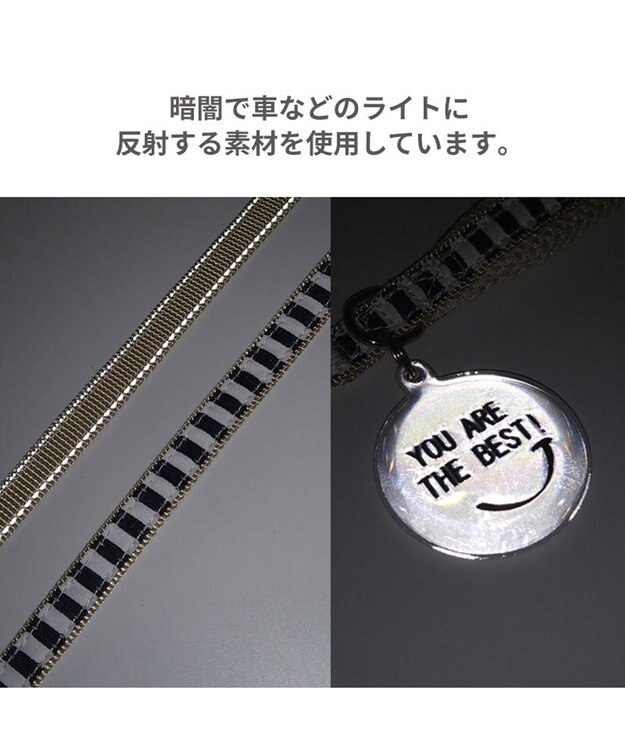 PET PARADISE 犬 リード 【ＳＳ~Ｓ】 ボーダー 紺（ネイビー・インディゴ）