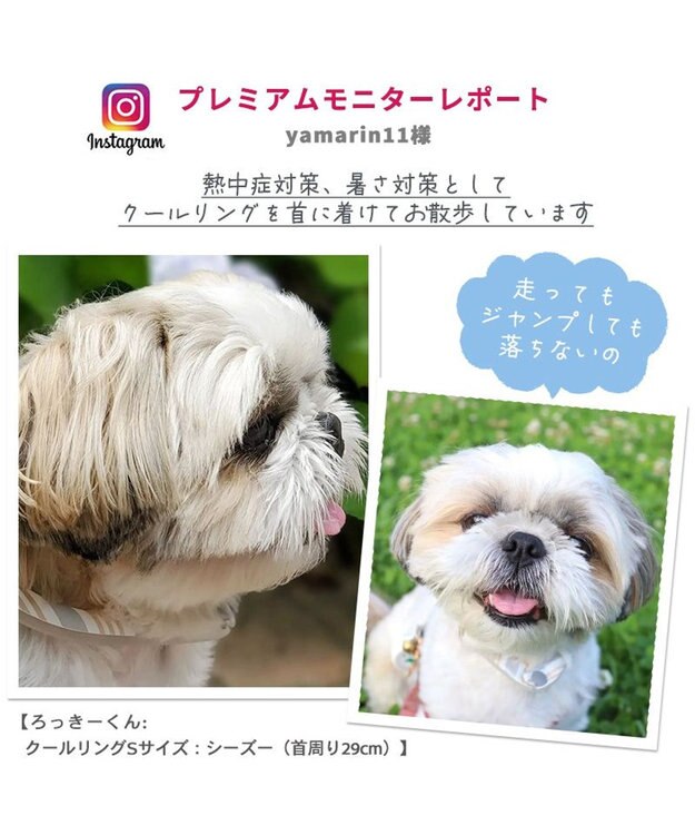 PET PARADISE クールリング 犬 クールネック ひんやり 28℃クールリング 【３Ｓ】 リフレクター 水色 ベージュ  反射材付き 水色 ３Ｓ