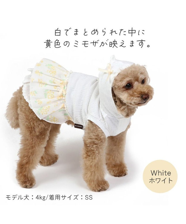 犬服 3S わんこの普段着　ミモザ 犬の服 犬 ワンピース 【小型犬】 ミモザ ホワイト グリーン