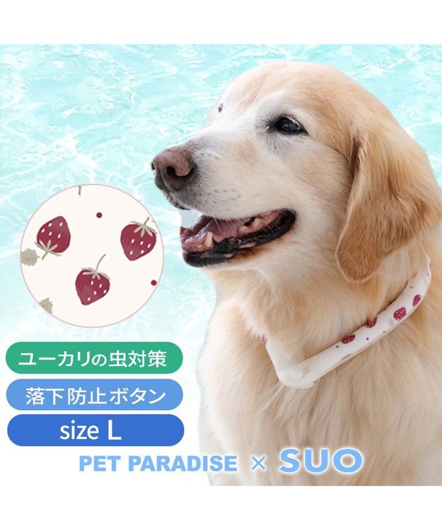 PET PARADISE ペットパラダイス 28℃クールリング  《いちご》 Ｌ 大型犬 いちご柄