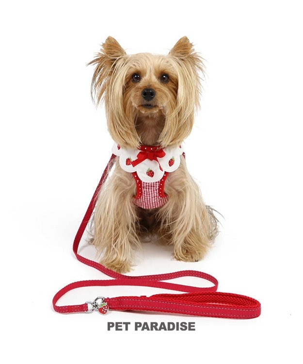 PET PARADISE ペットパラダイス ハーネス&リード スカラップカラー《いちご柄》 4S / 3S 小型犬 いちご柄