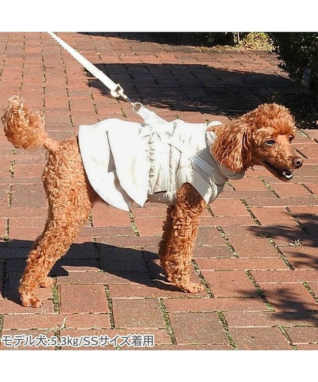 PET PARADISE ペットパラダイス ふりふり アウターハーネス 小型犬 ベージュ