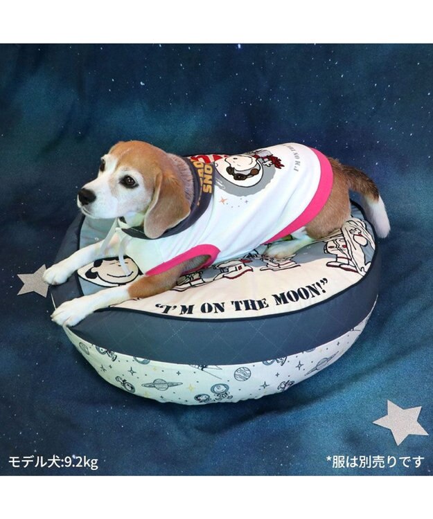 スヌーピー アストロノーツ　ダイカット　クッション スヌーピー 丸型 クッション 《アストロノーツ柄》 / PET