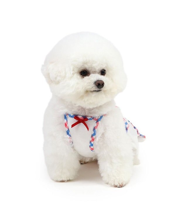 PET PARADISE リサとガスパール エコメイド タンクトップ 《ボーダー》 小型犬 ボーダー