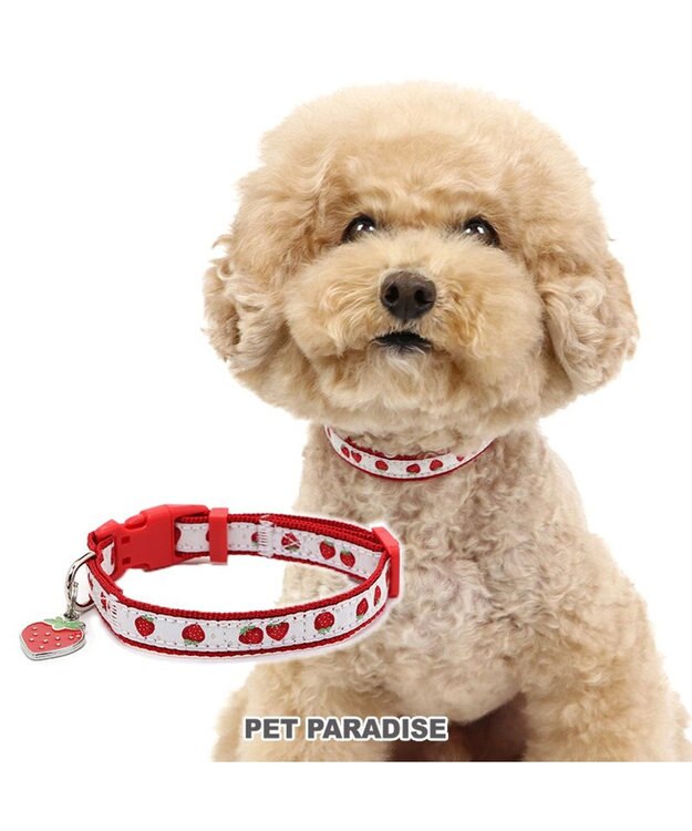 PET PARADISE ペットパラダイス 苺 チャーム付き首輪 ３Ｓ レッド