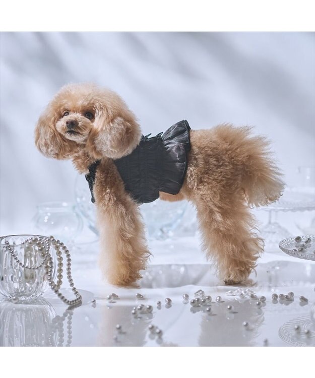 PET PARADISE cherircouture シャーリング キャミソール 《ブラック》 小型犬 ブラック